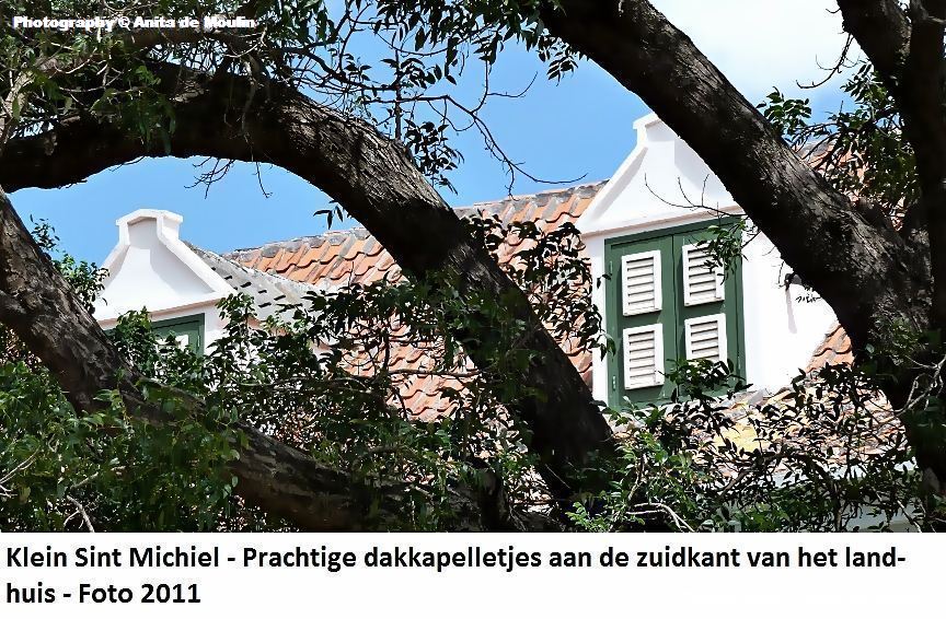 33. Klein Sint Michiel dakkapelletjes 2011